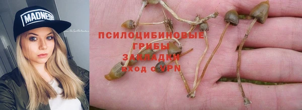 круглые Аркадак