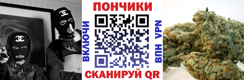 Бошки Шишки семена Кашин