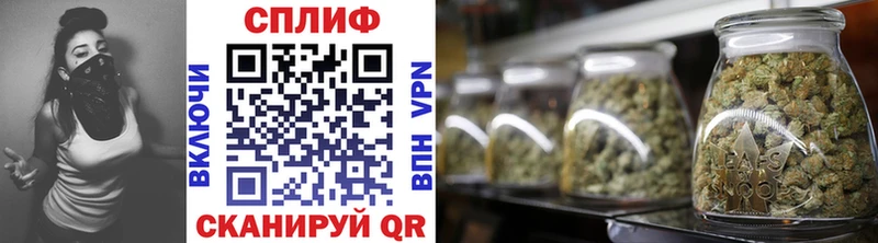 продажа наркотиков  OMG ссылки  МАРИХУАНА OG Kush  Кашин 